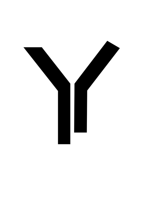 Nephyl